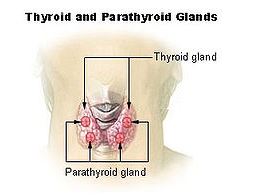 Secondary Hyperparathyroidism